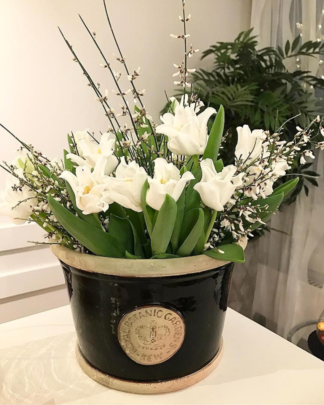 Hotel Charlotte / Stella Uppsala Zewnętrze zdjęcie
